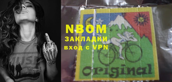 шишки Заволжск