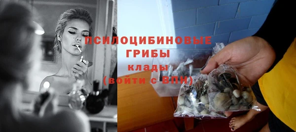 шишки Заволжск