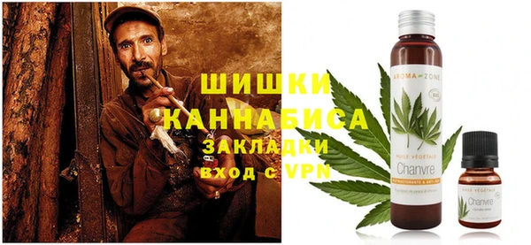 шишки Заволжск