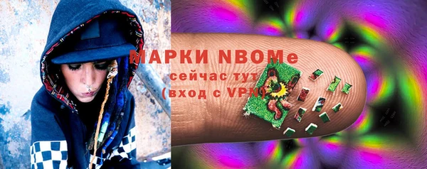 2c-b Ельня