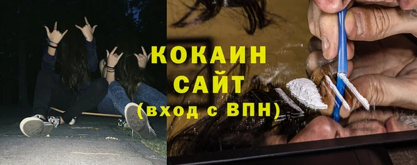 2c-b Ельня