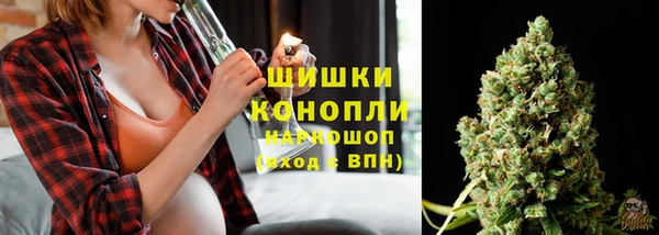 2c-b Ельня