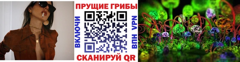 Псилоцибиновые грибы GOLDEN TEACHER  Купить закладки  Уссурийск 